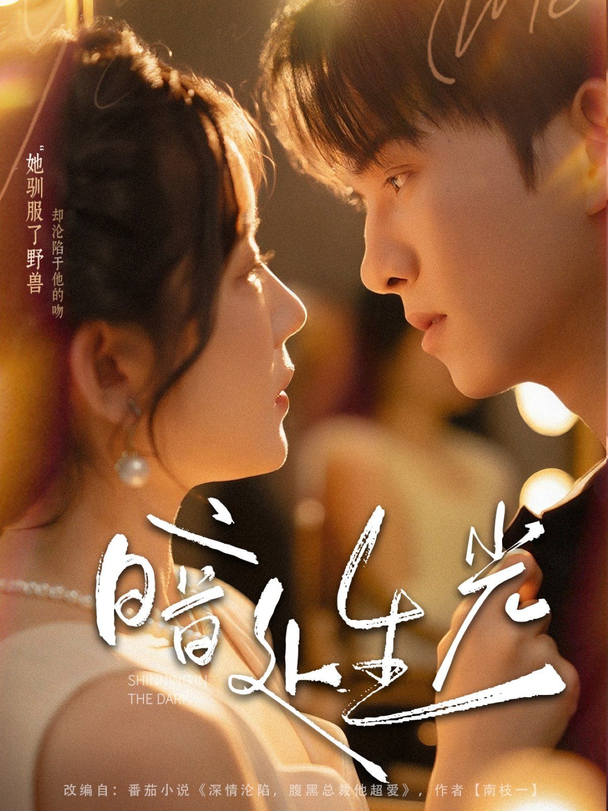 暗處生光(全集)