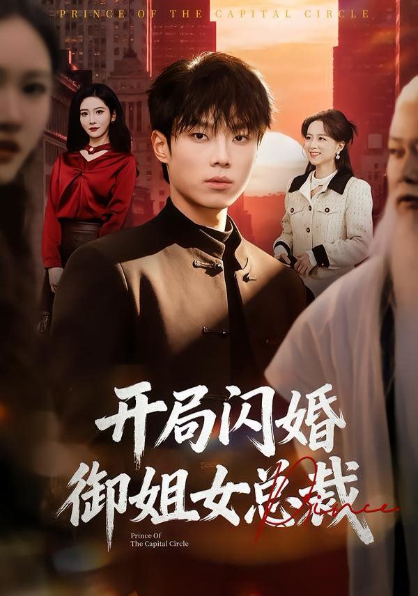 開局閃婚御姐女總裁(全集)