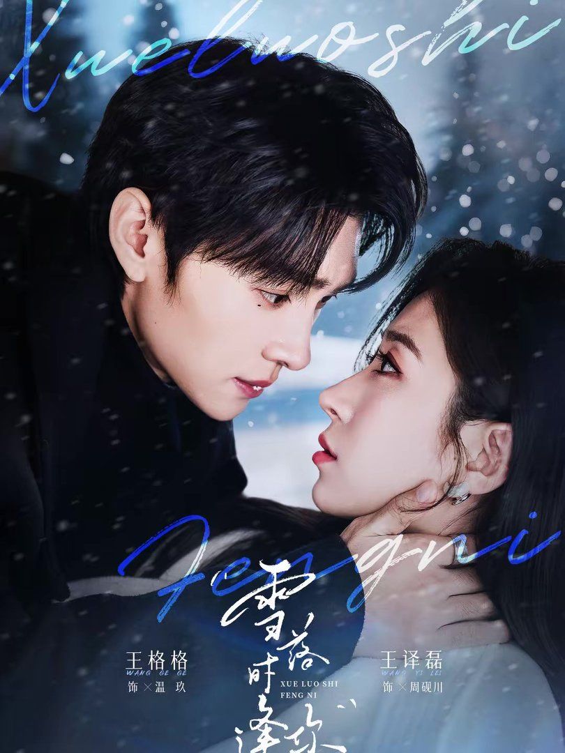 雪落時逢你(全集)