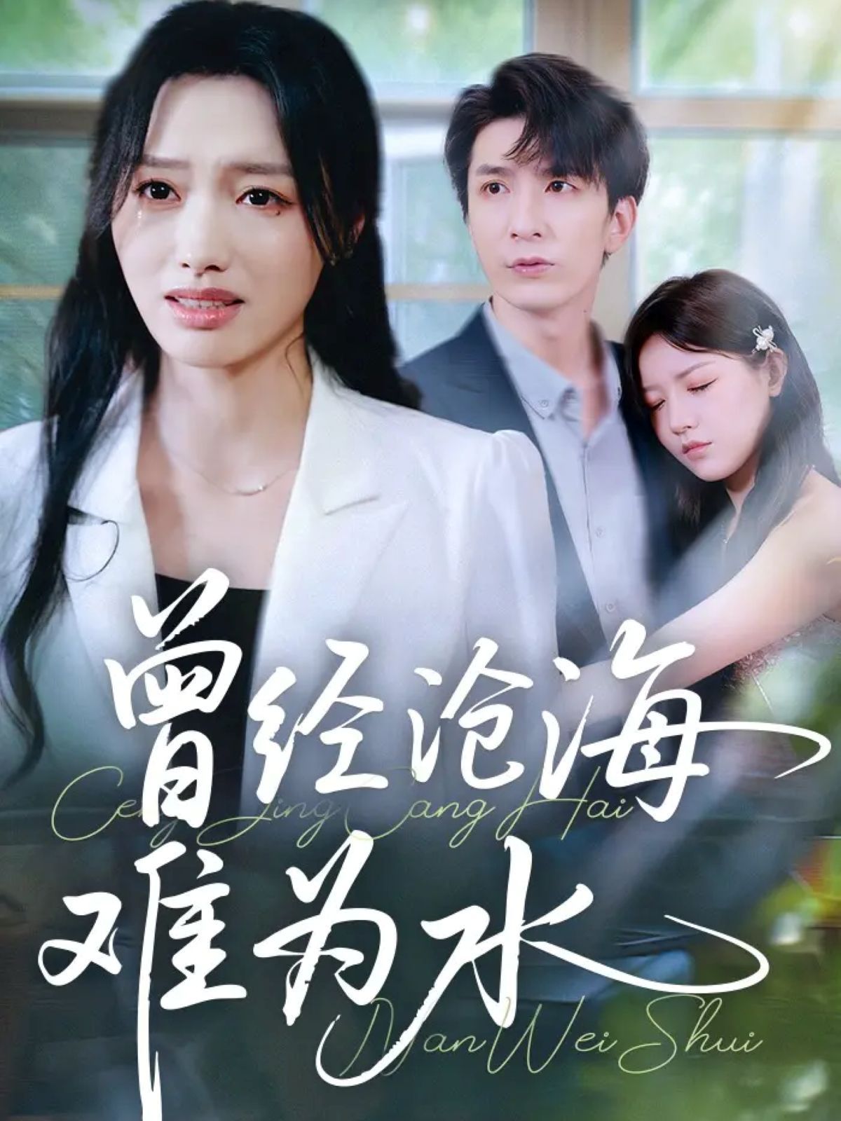 新曾經滄海難為水(全集)