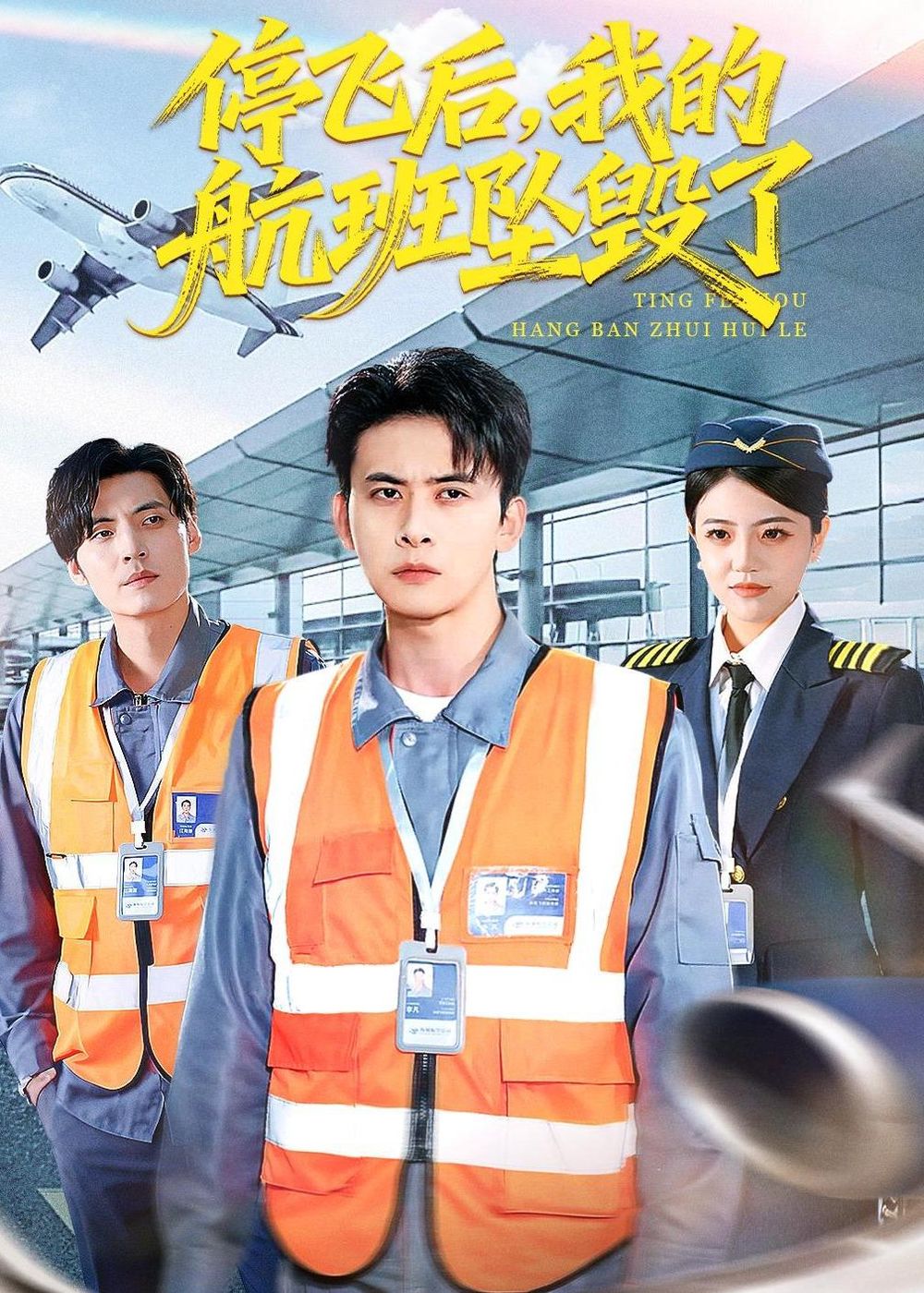 停飛后，我的航班墜毀了(全集)