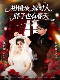 相錯親嫁對人胖子也有春天(全集)