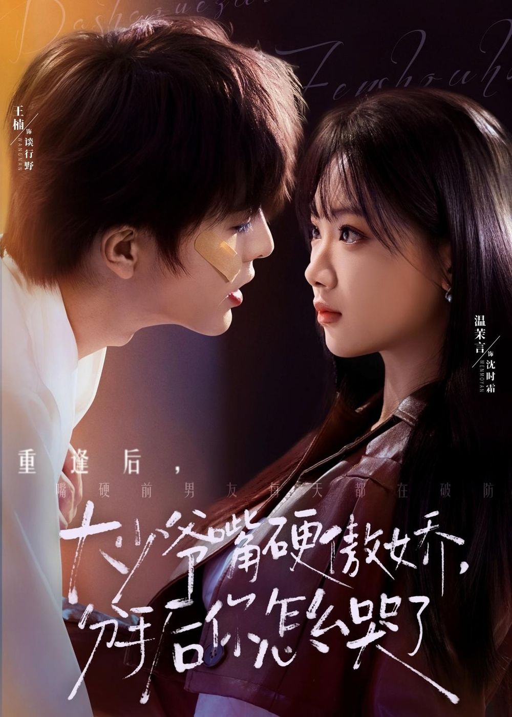 大少爺嘴硬傲嬌，分手后你怎么哭了(全集)