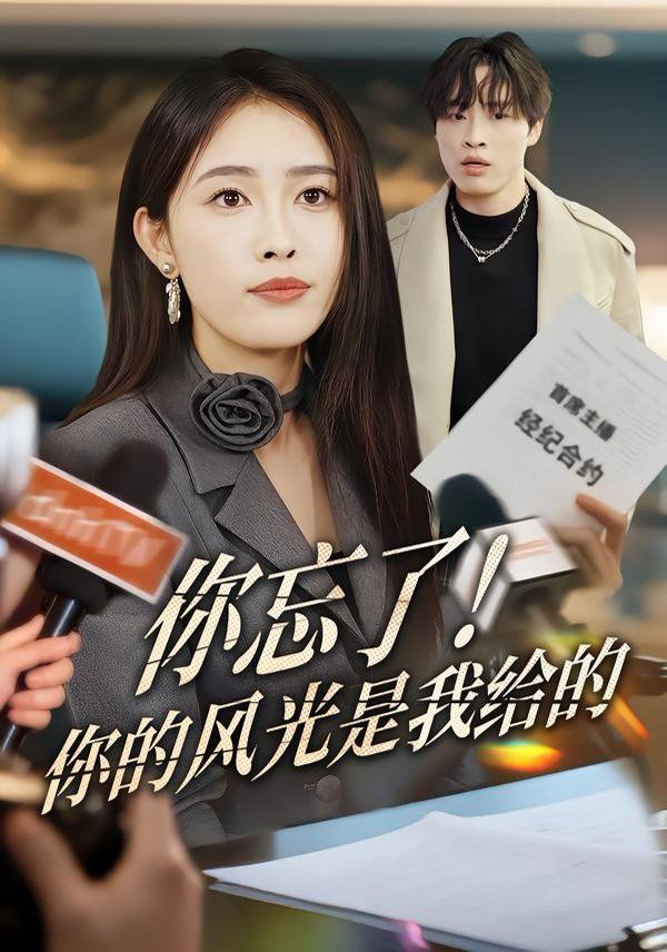 你忘了！你的風光是我給的(全集)