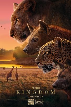 動物王國2025(全集)