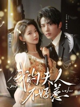 我的夫人不好惹，你好，我的旅長夫人(全集)