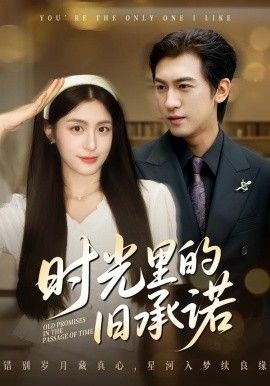 時光里的舊承諾，重逢是場盛大告白(全集)
