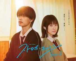 閃爍的愛情 第二季(全集)