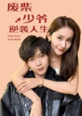 廢柴少爺的逆襲人生全集(大結局)