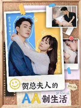 賀總夫人的AA制生活(全集)