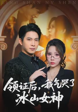 領證后，我氣哭了冰山女神(全集)